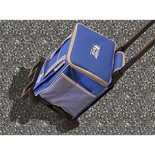 Fridge to sales go cooler bag
